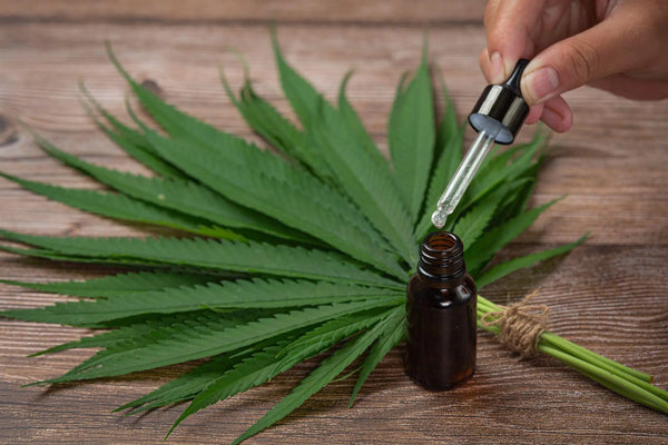 What Is HTE (High Terpene Extract)? Benefits, Uses, and Why It Matters