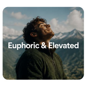 Euphoric & Elevated