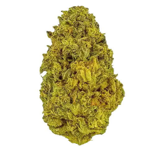 A collection of cannabis jars, tubes, and rolled products are arranged together.