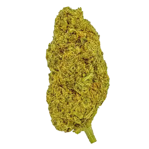 gelato-thca-flower-nug-web-1