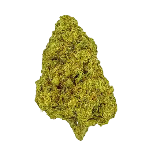 Why Buy THCa Flower Online From STNR Creations?