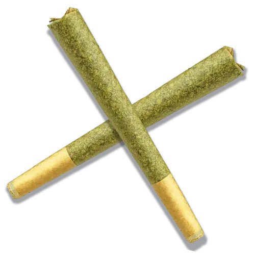 Explore Our Signature THCa & THCp Pre-Roll Formats