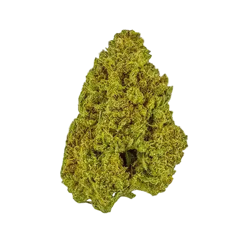 sfv-og-thca-flower-nug-web-1