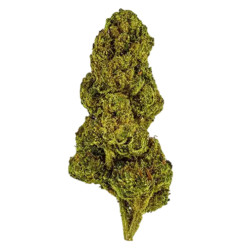 strawberry cough thca bud stacked-white-web