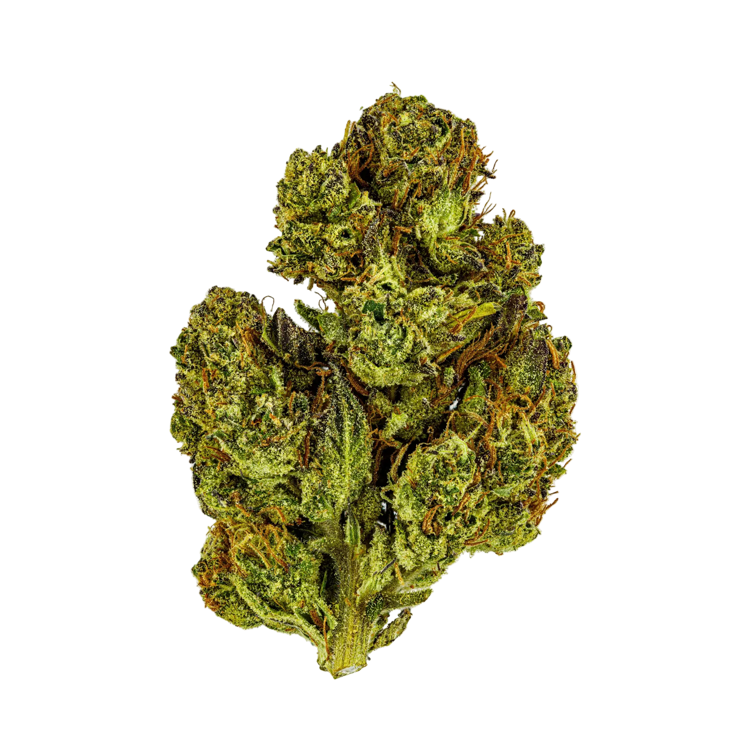 supersonic thca bud stacked-white-web